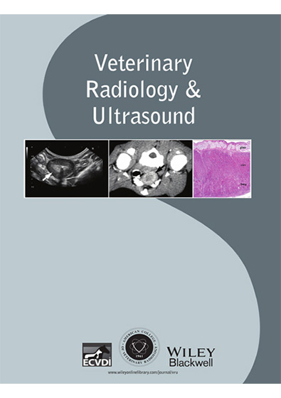 Veterinary Radiology Ultrasound